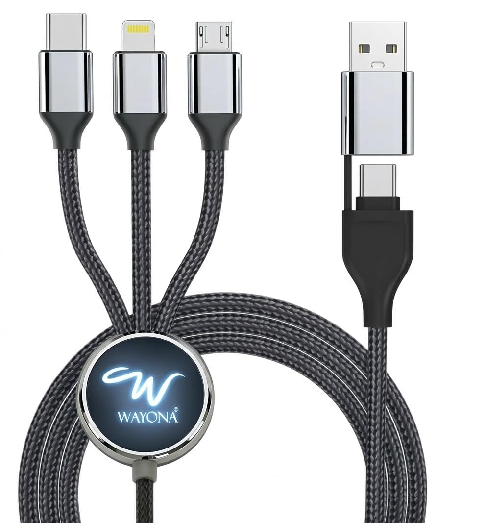 Wayona 7-in-1 Type C Hub