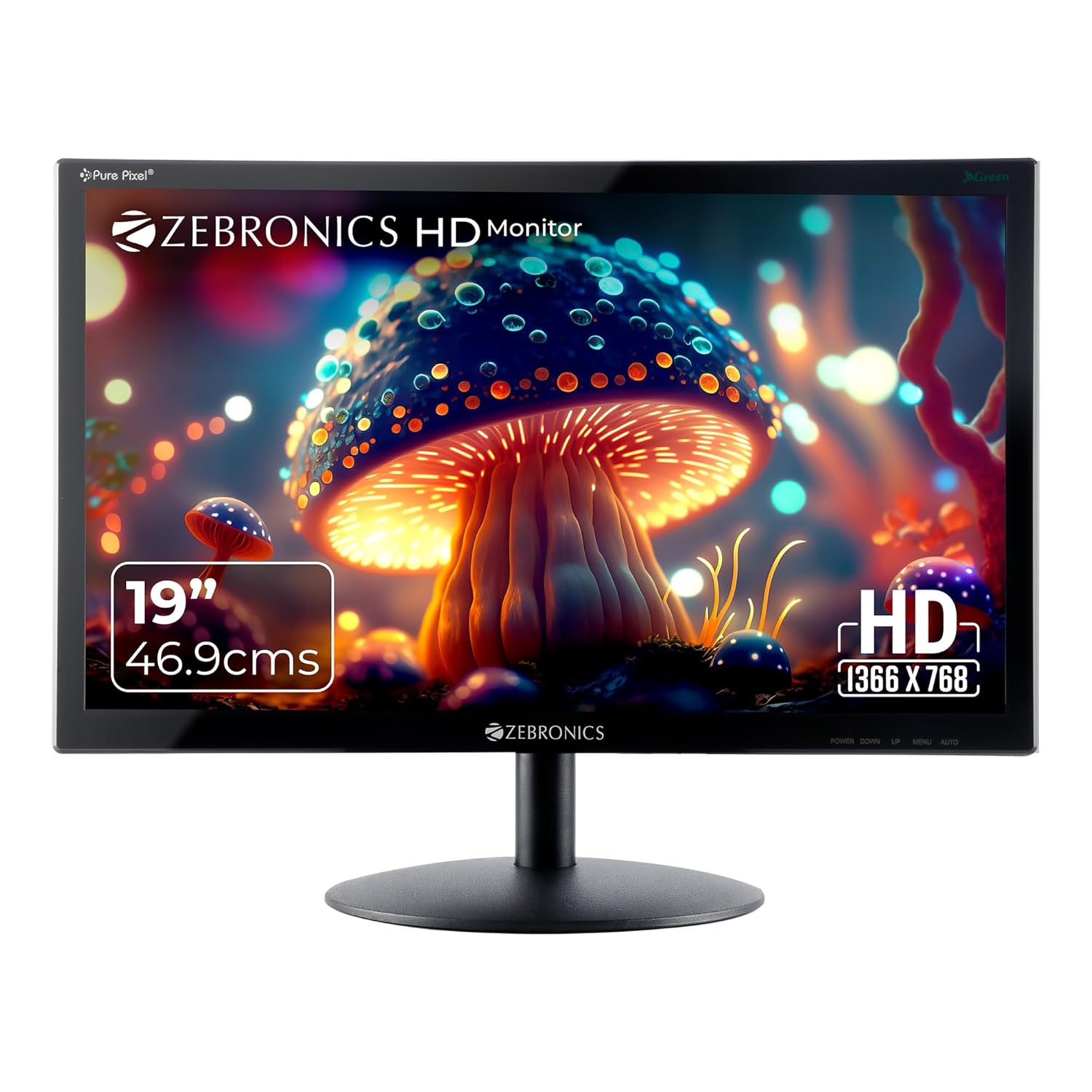 Zebronics 15.4-inch LED